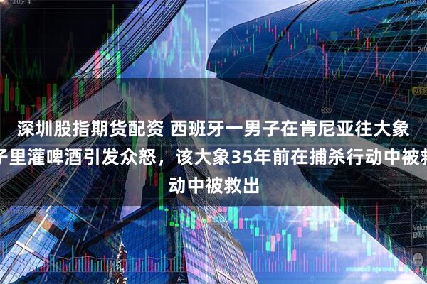 深圳股指期货配资 西班牙一男子在肯尼亚往大象鼻子里灌啤酒引发众怒，该大象35年前在捕杀行动中被救出